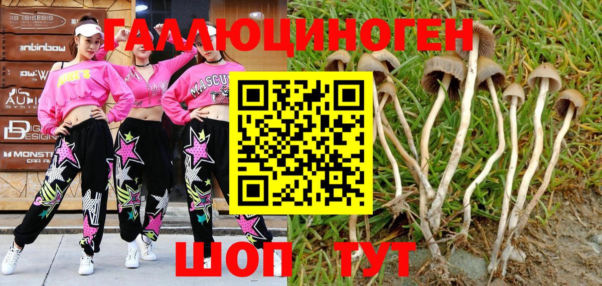 Дюртюли  Псилоцибиновые грибы Magic Shrooms  Псилоцибиновые грибы мухоморы  где можно купить наркотик  Вход с VPN 